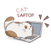 Cattop