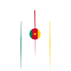 Cameroon Airlines