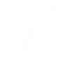 white guitar