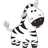 zebra