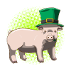 Lucky Pig St. Patrick's Day