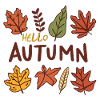 Hello Autumn Autumn Leaves