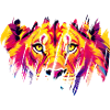 Scratched Lion Gaze