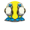 Galapagos Islands