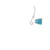 Roi de la pêche