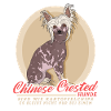 Chinese Crested Chinese Crested Gift