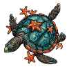 Tortue