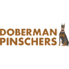 Easily Distracted By Doberman Pinscher