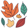 Embrassez la Beauté de l'Automne
