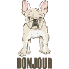 Bonjour