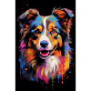 Australischer Schäferhund Aussie