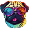 Mops Hund mit bunter Sonnenbrille