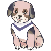 cute dog