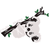 Le petit koala