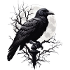 Corbeau noir