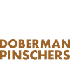 Café et Doberman Pinscher