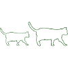katzen