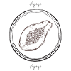 Papaya