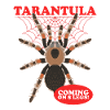 Tarantulas Spider Tarantula Tarantula Gift