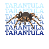 Tarantula Spider Tarantula Tarantula Gift