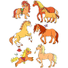 Riding Pony Horse