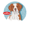Brittany Dogs Spaniel Breton Gift