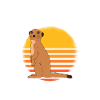 It's A Meerkat Thing
