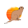 Just Talk About Meerkats