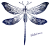 Tiefblaue Libellen Silhouette