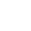 Dylan