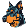 Beauceron