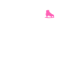 Conception du sac de patinage