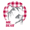 Mr. Bear