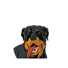 Rottweiler Hund