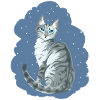 Ivypool Ivy Lake Grey Cat Snow Warriors Cat