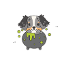 Chaudron joyeux Halloween berger australien