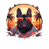 French bulldog