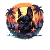 French bulldog