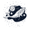 Sternbild Whale Constellation Cetacea Watcher