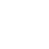 Year 99