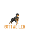 Rottweiler Gifts