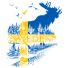 SUÈDE ORIGNAL DRAPEAU SUÉDOIS