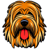 Shepherd of Brie Briard
