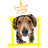 Teckel Roi