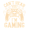 Funny gamer saying