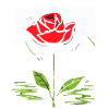 Rouge japonais Soleil : Rose