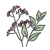 Feuilles et baies