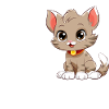 Frag die Katze