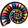 Ammonite fossil