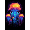 Qualle Jellyfish